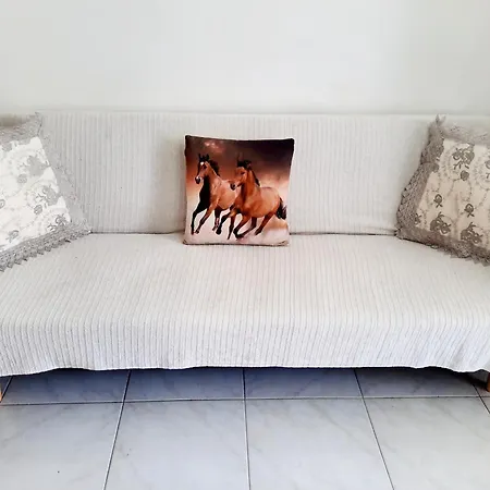 Dina Dd Guest house